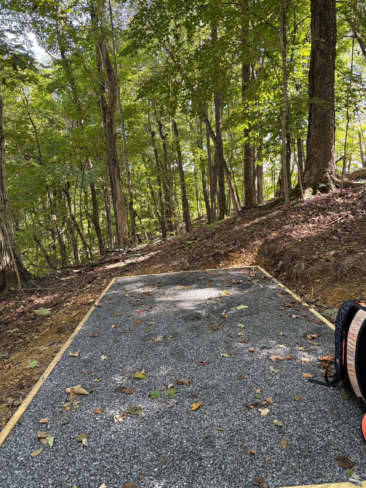 Hole 6 tee