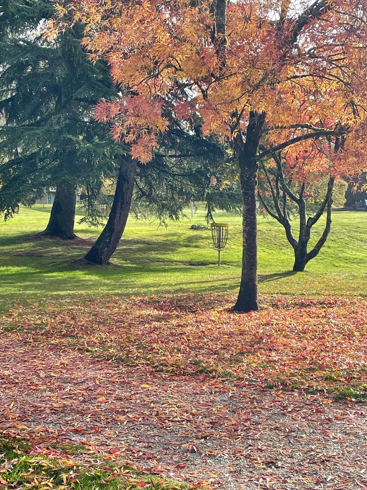 Pretty fall day