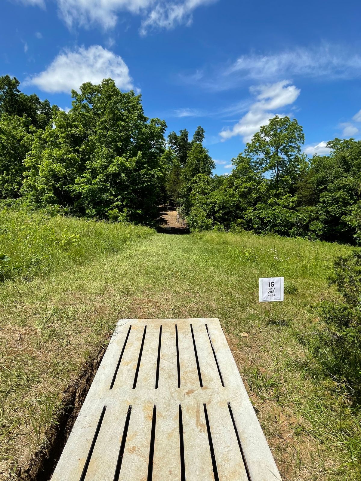 Hole 15