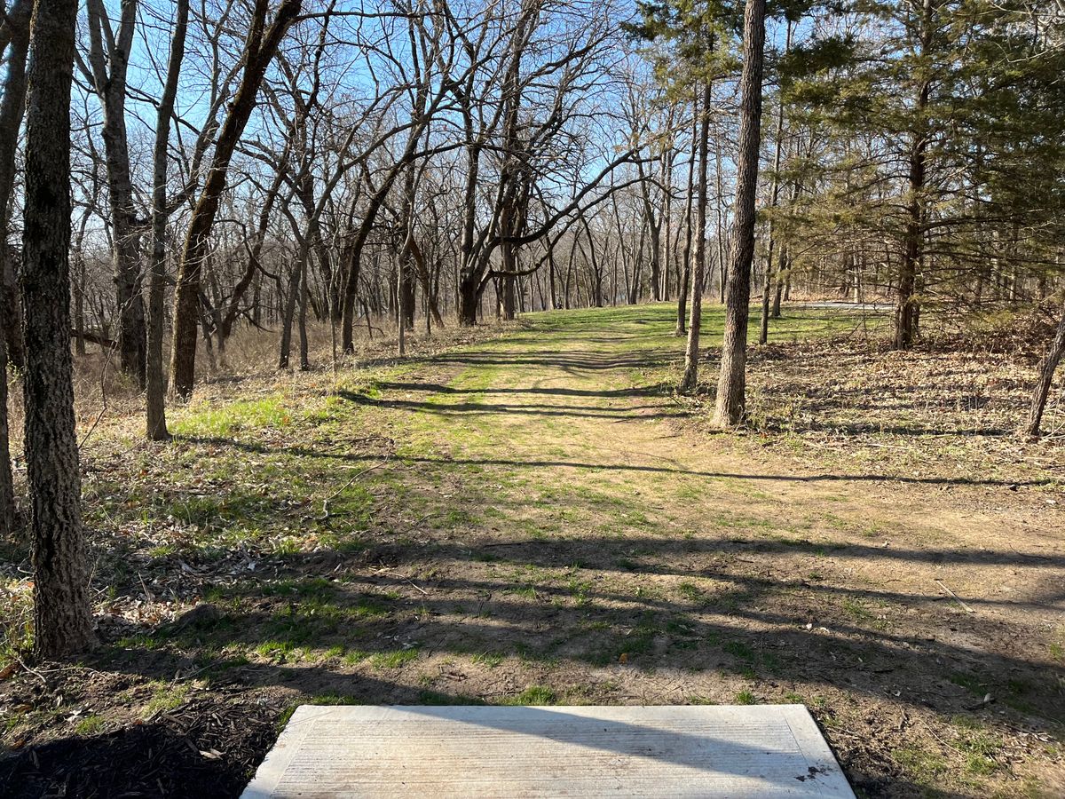Hole 15 blue