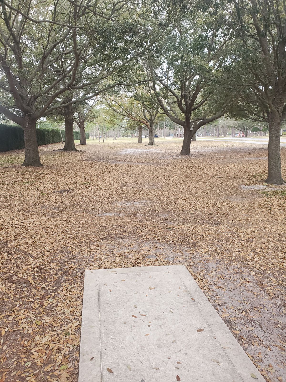 Hole 2