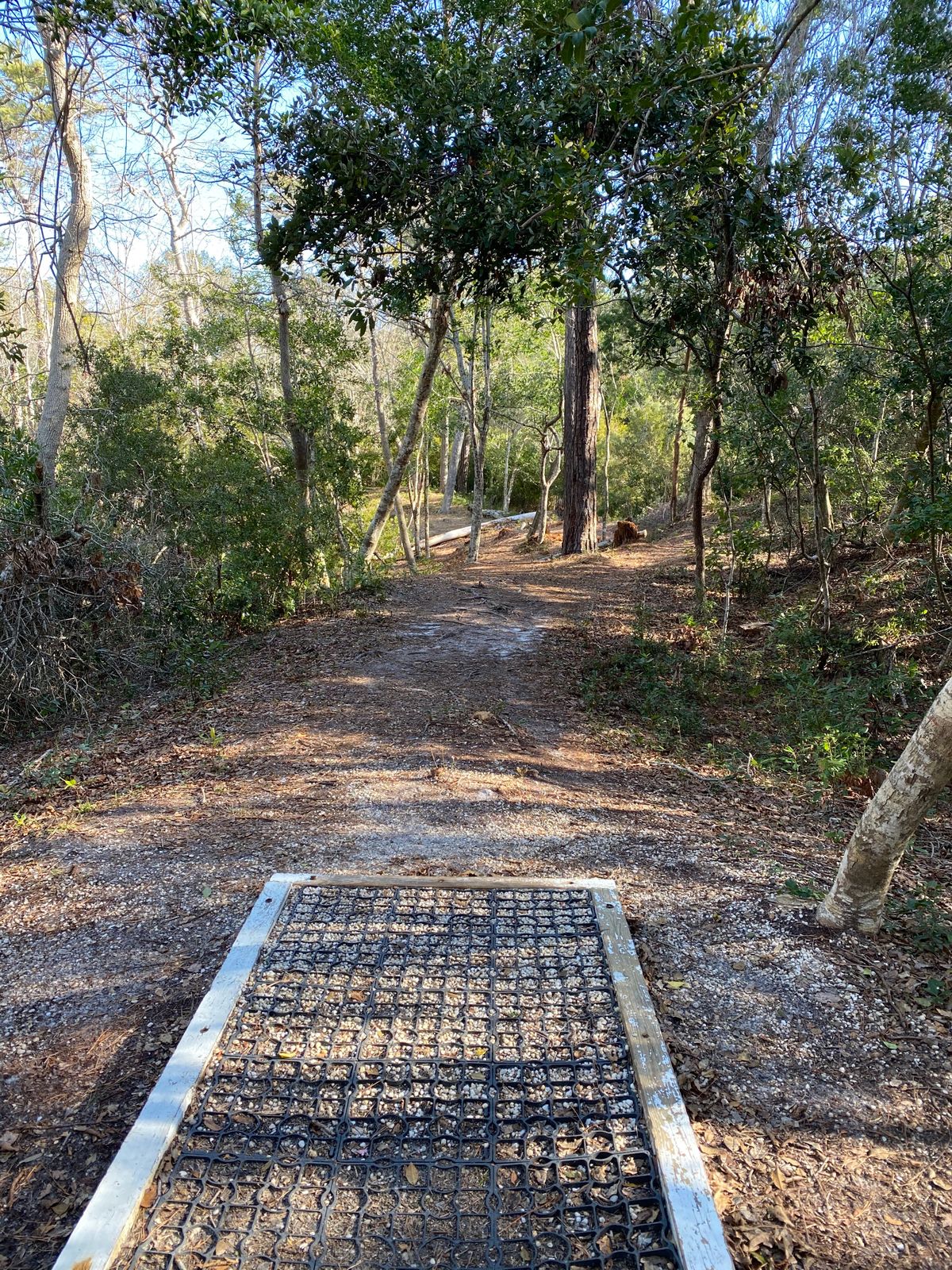 hole 7