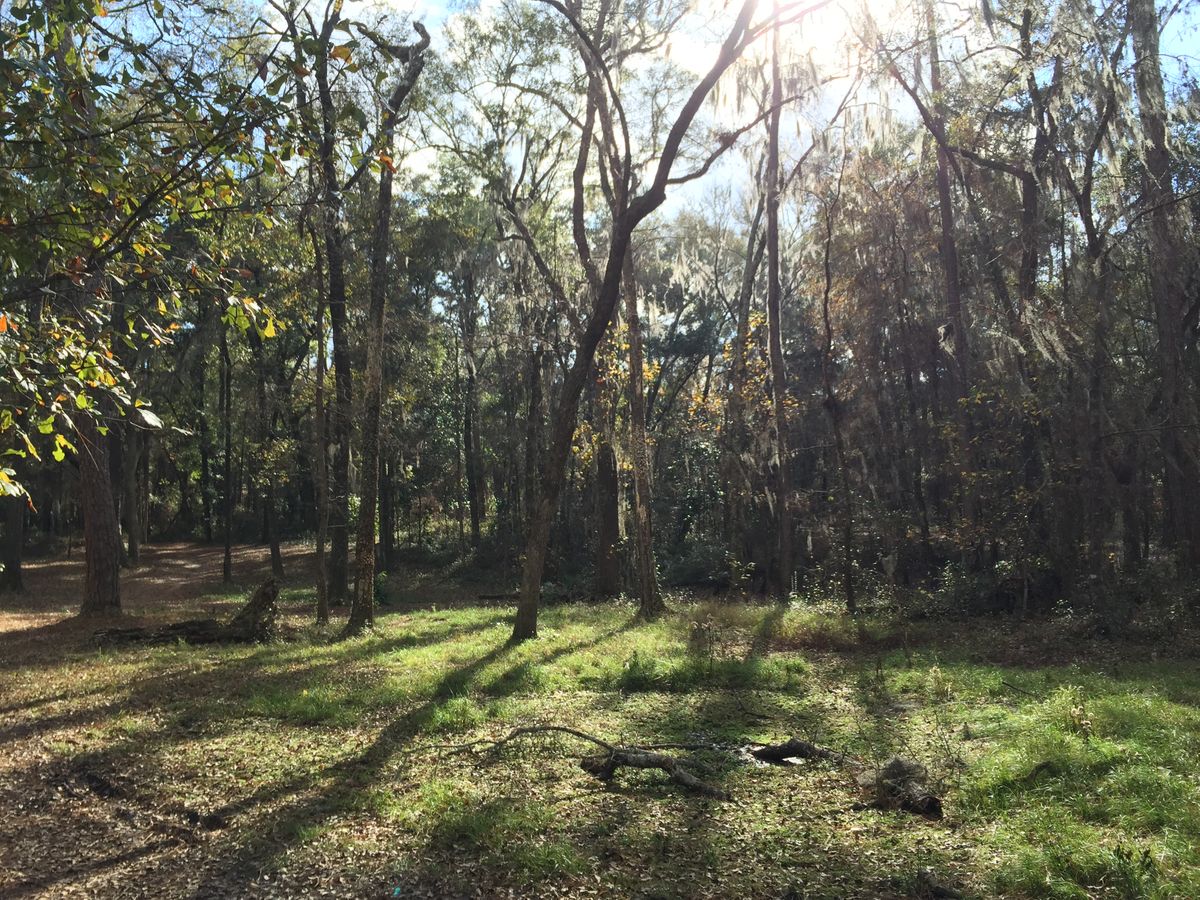 Hole 2