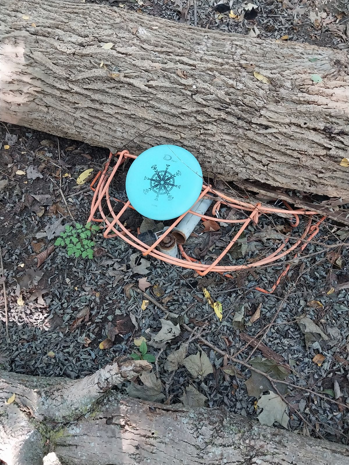 Yep, basket 6 is crushed lol.