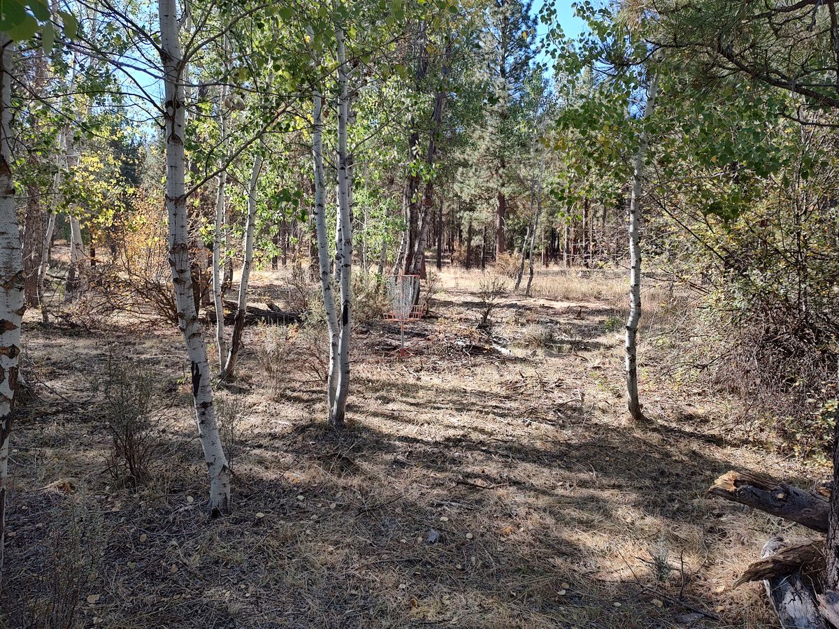 Hole 3/6 Basket