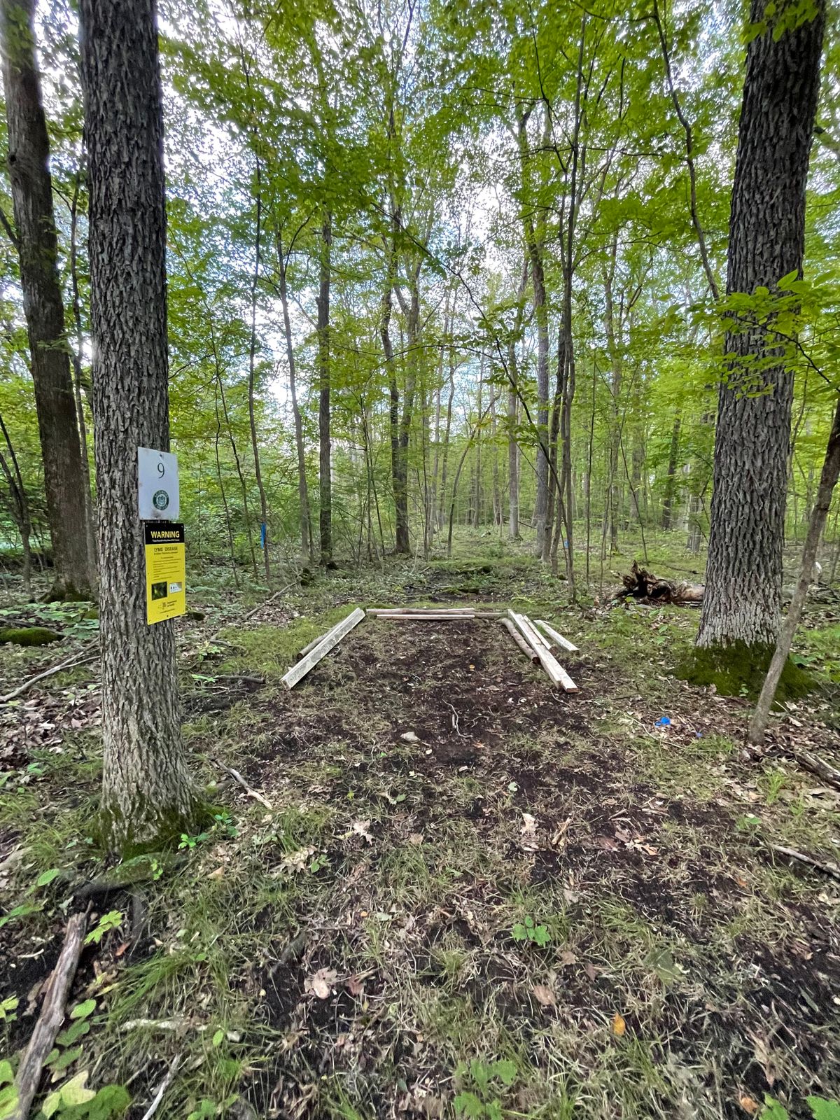 Hole 9 Tee