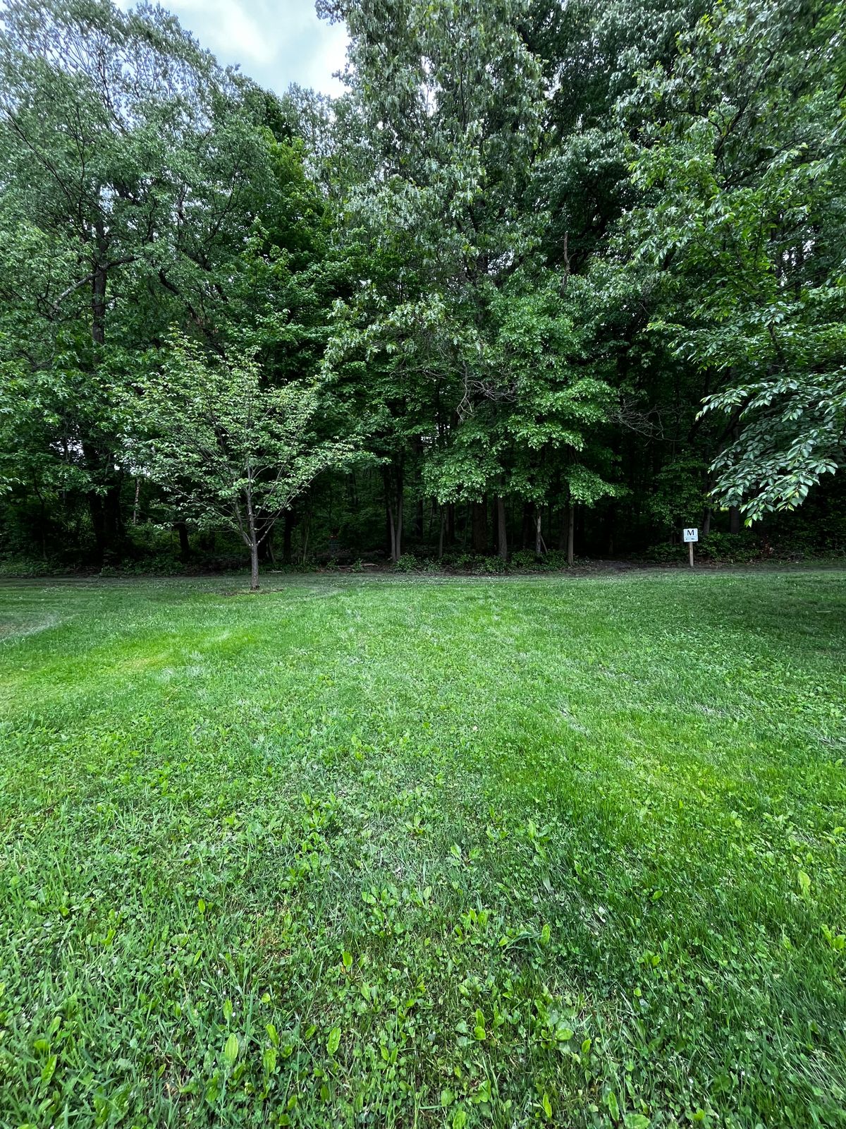 Hole 2 red fairway into green