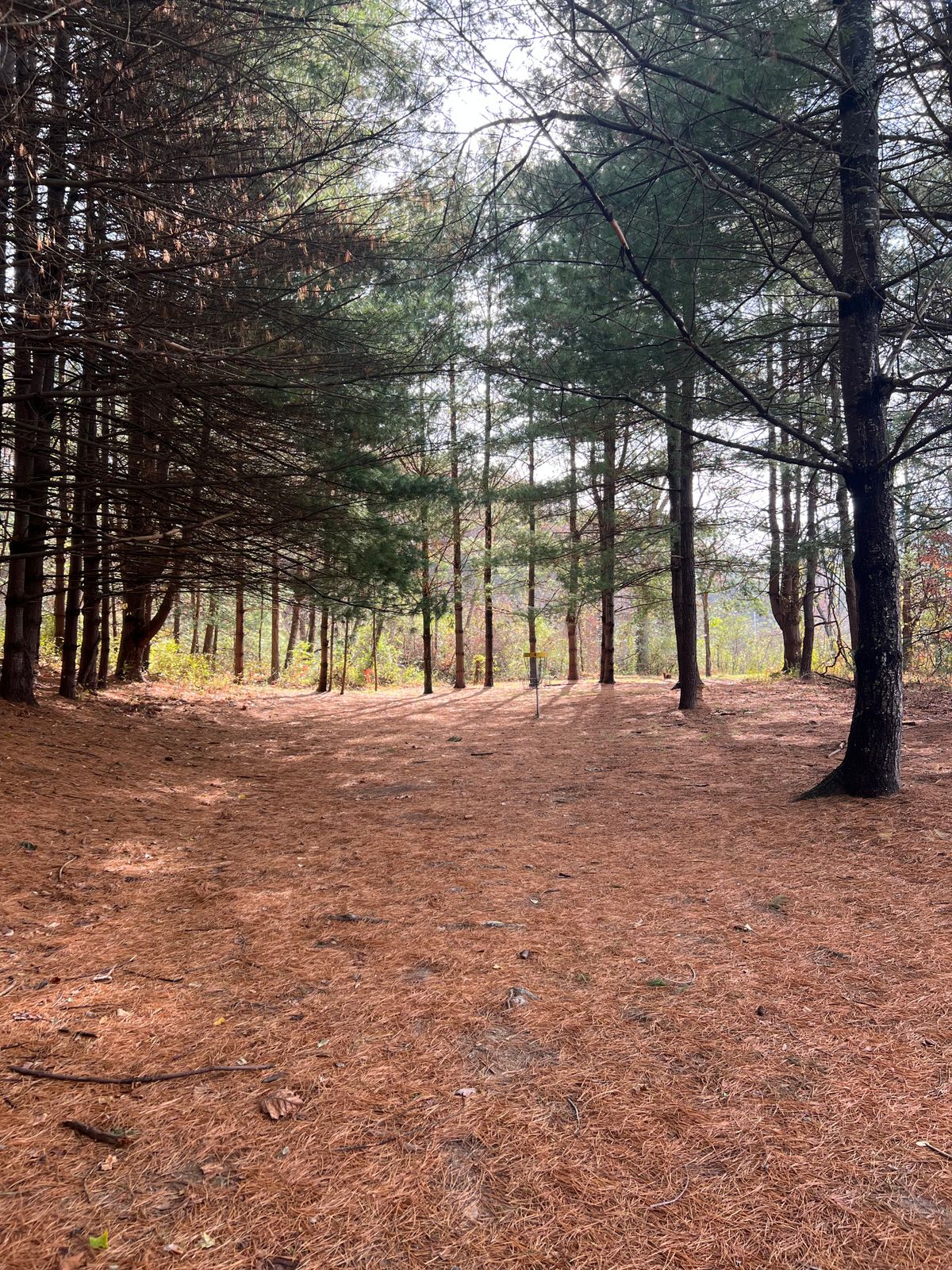 Hole 4: Down the fairway