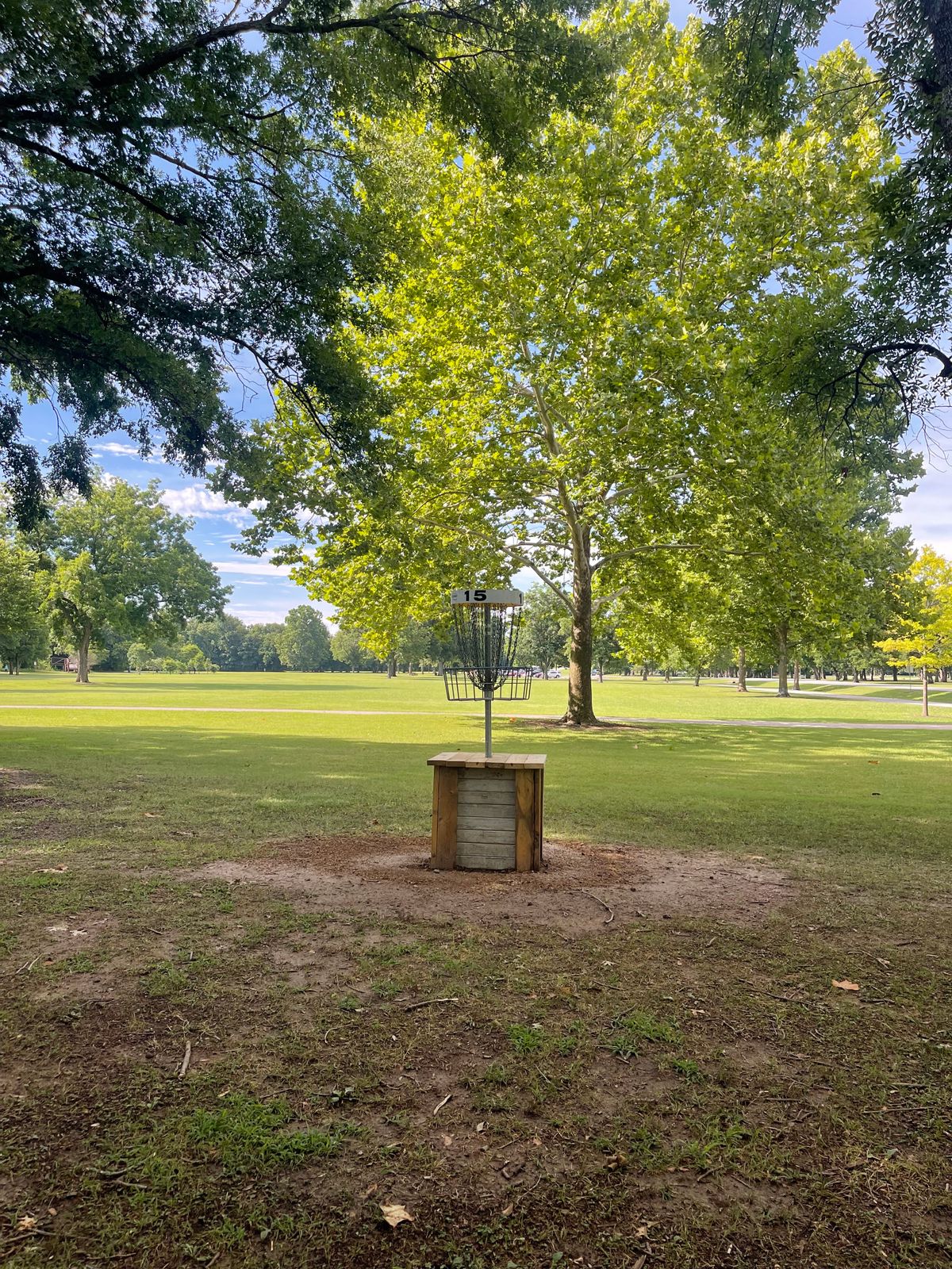 Hole 15 basket
