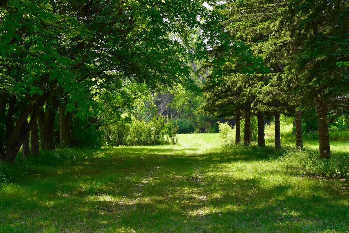 Fairway hole 1