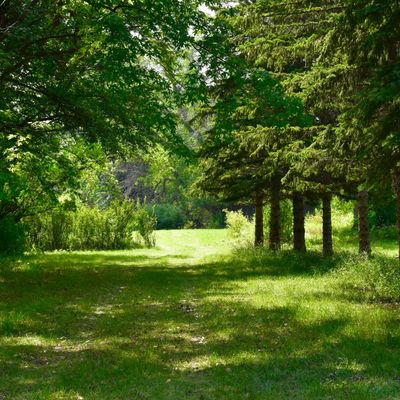 Fairway hole 1