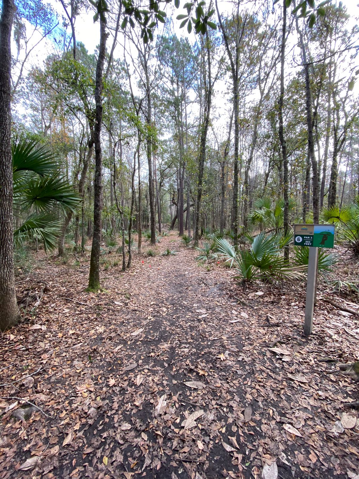 Hole 6