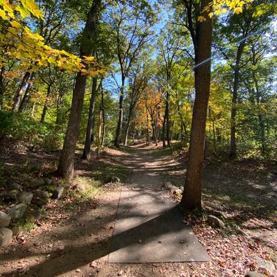 Standing Rocks - Stevens Point, WI | UDisc Disc Golf Course Directory