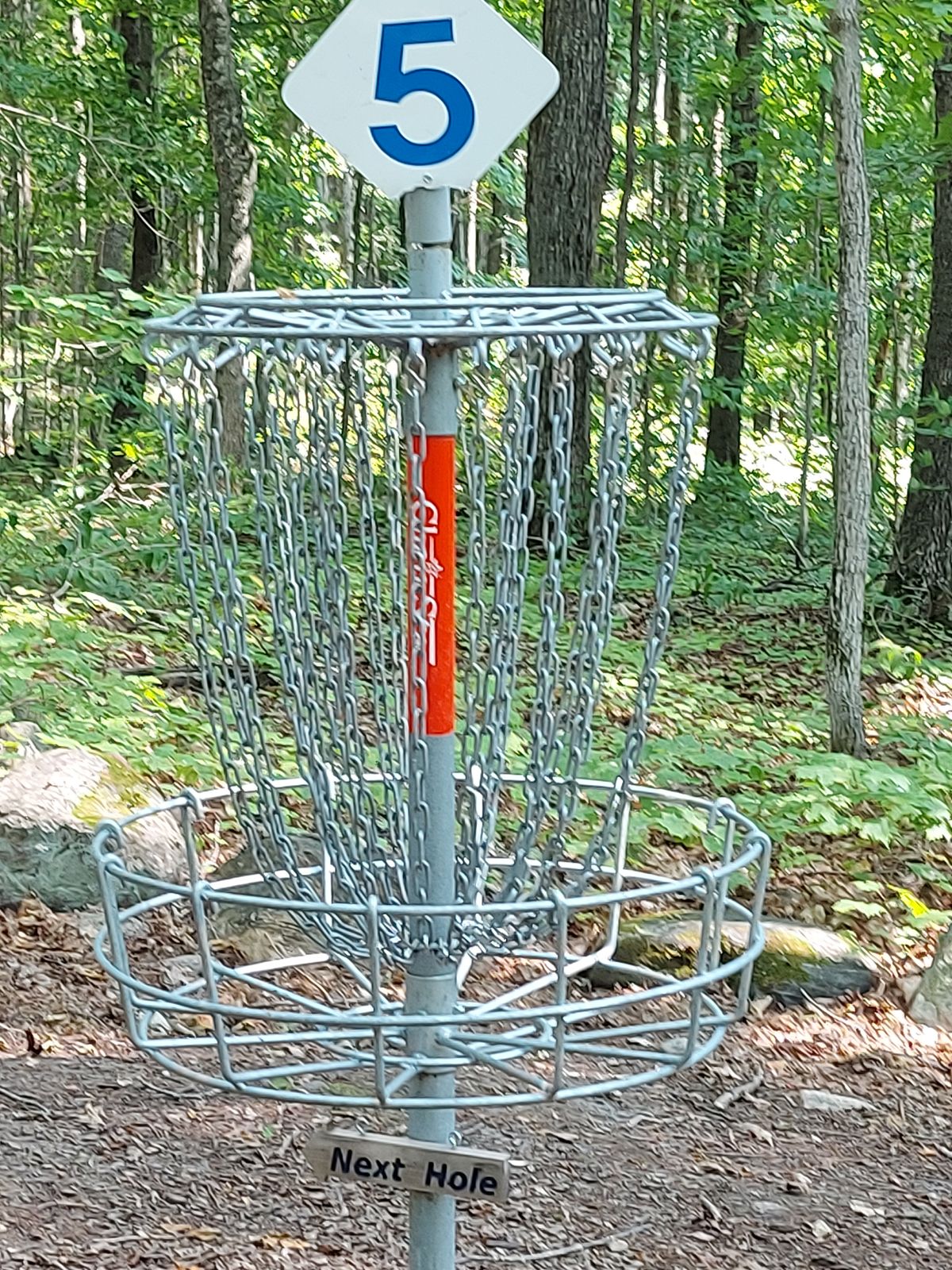 Putting on hole 5.☘🍀🌳🍃