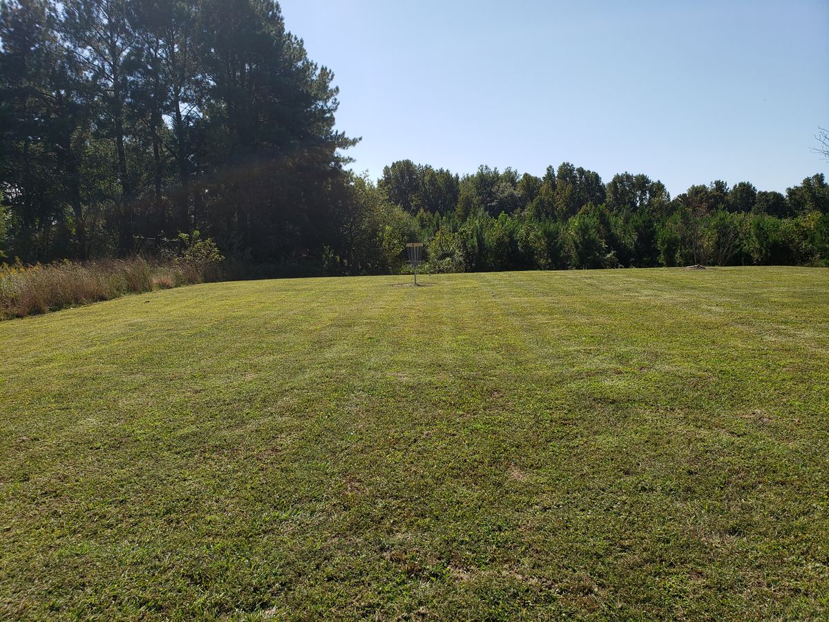 Hole 6 Basket.