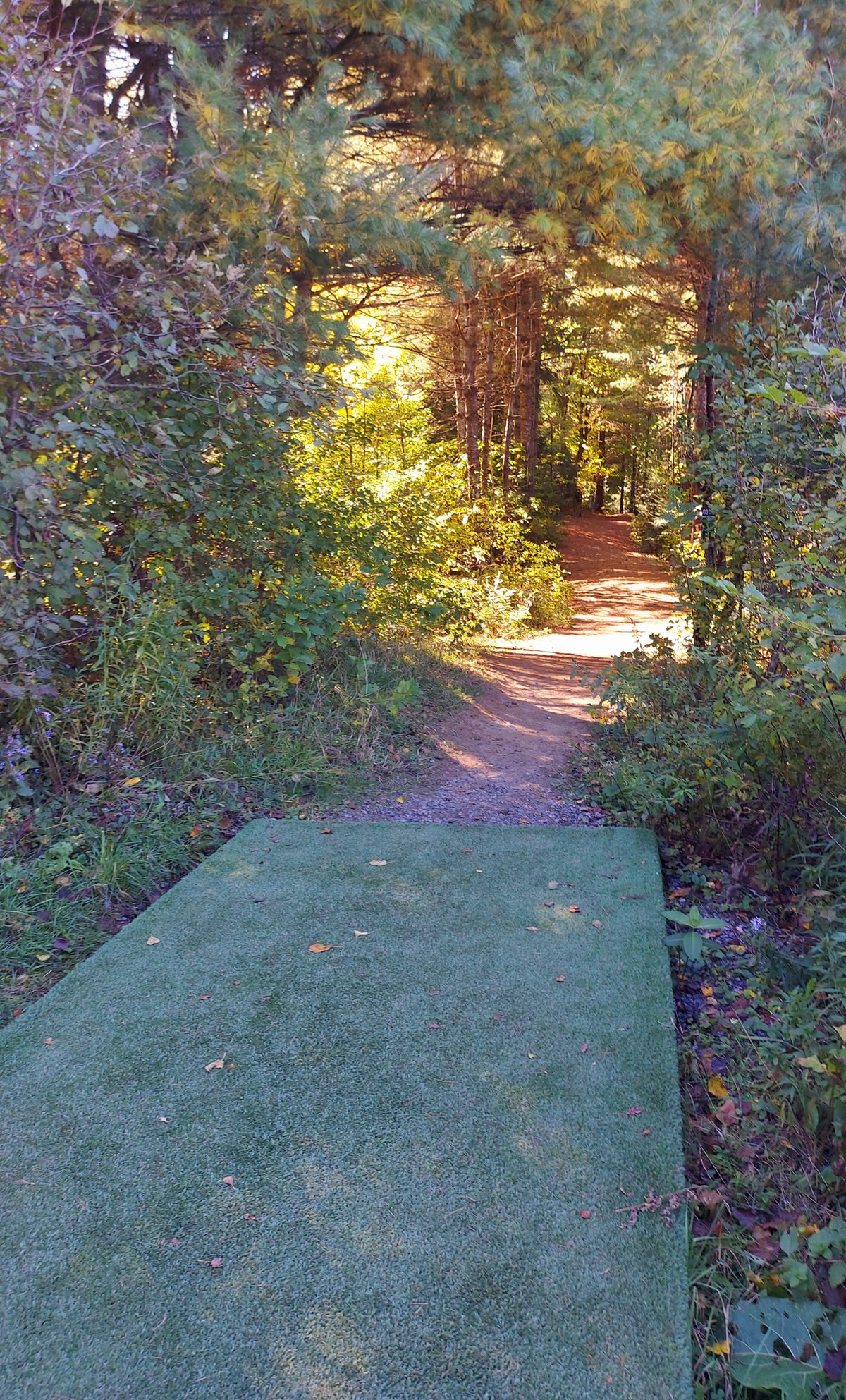 Tee pad