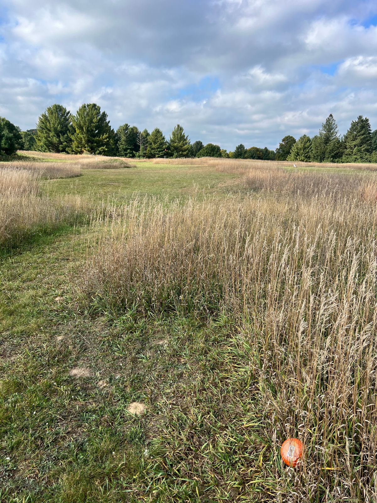 New Hole 9