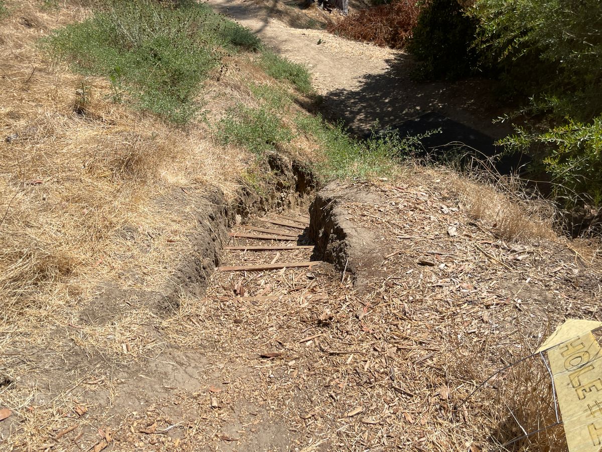 Almost there. Primitive steps down to tee #12 are very helpful!