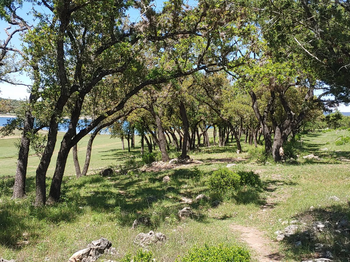 Hole 7 Tee View