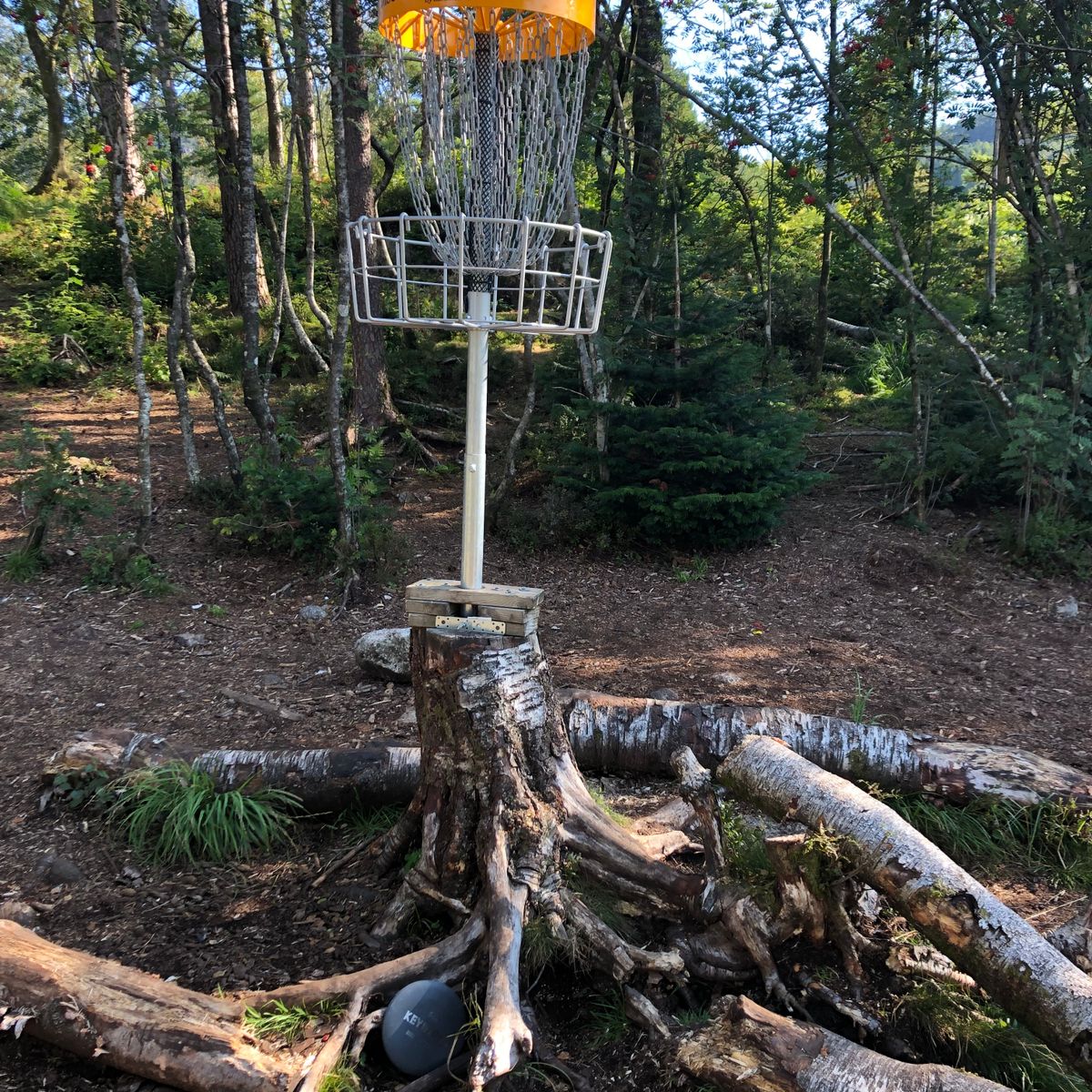 Basket Hole 15