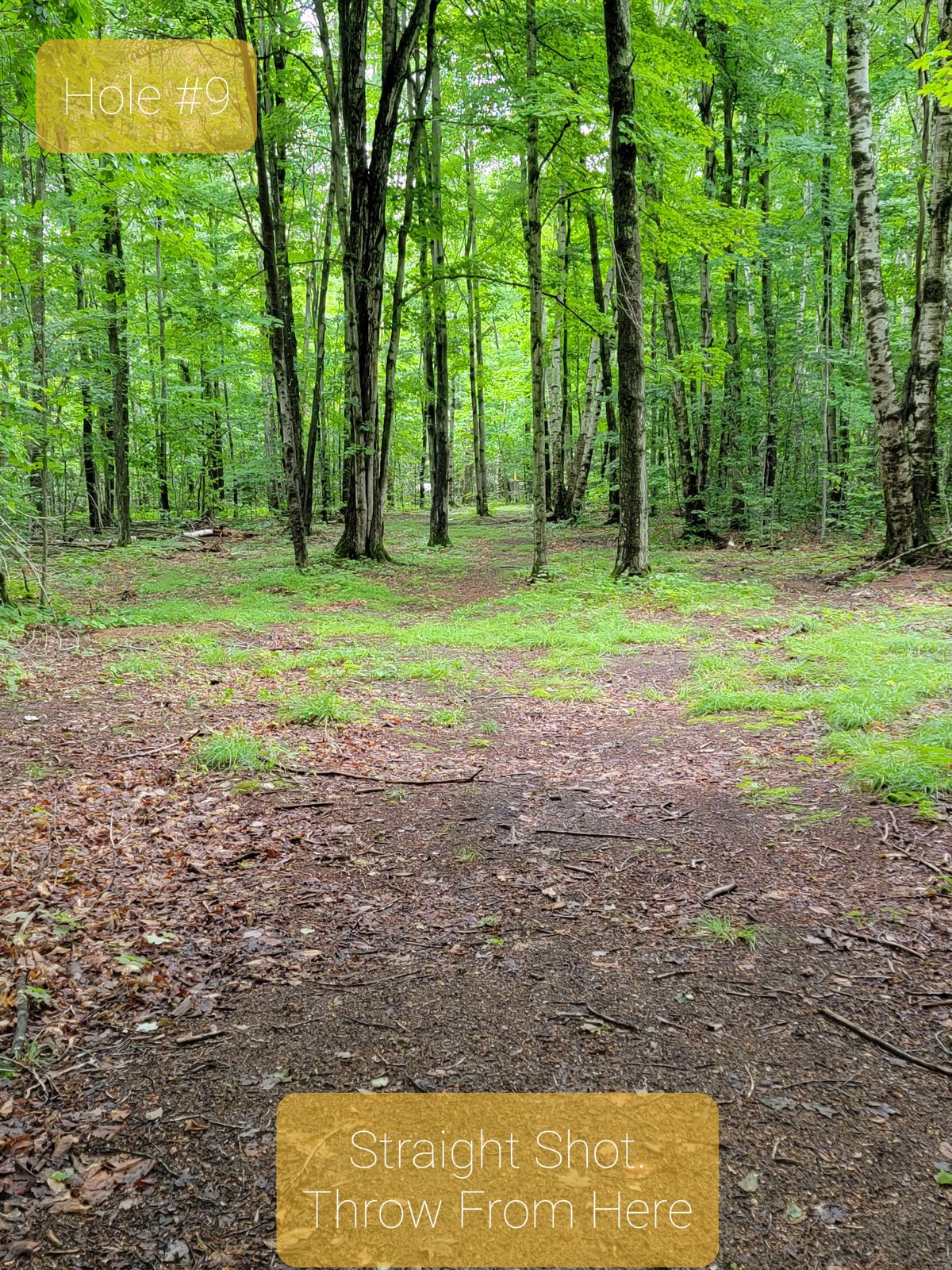 Hole 9 tee