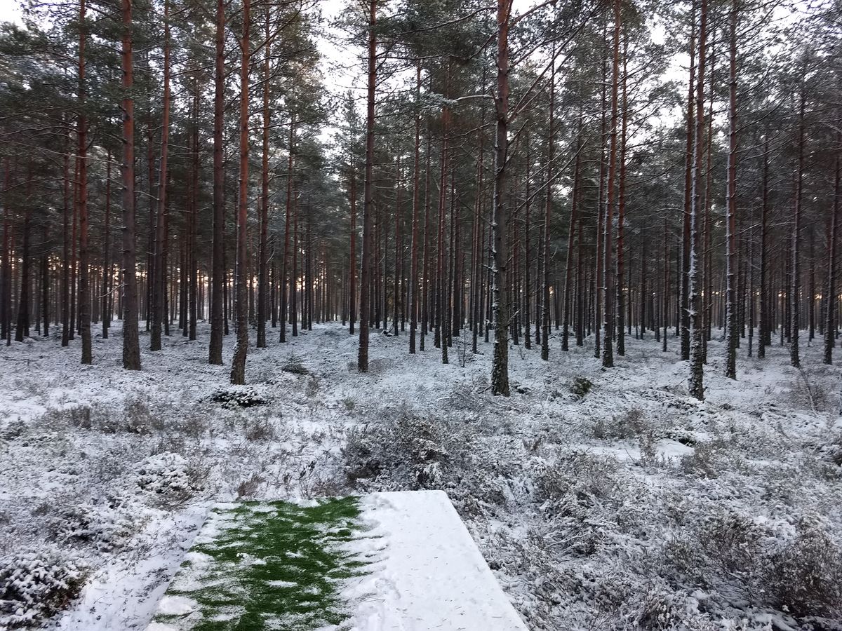 Hål 4