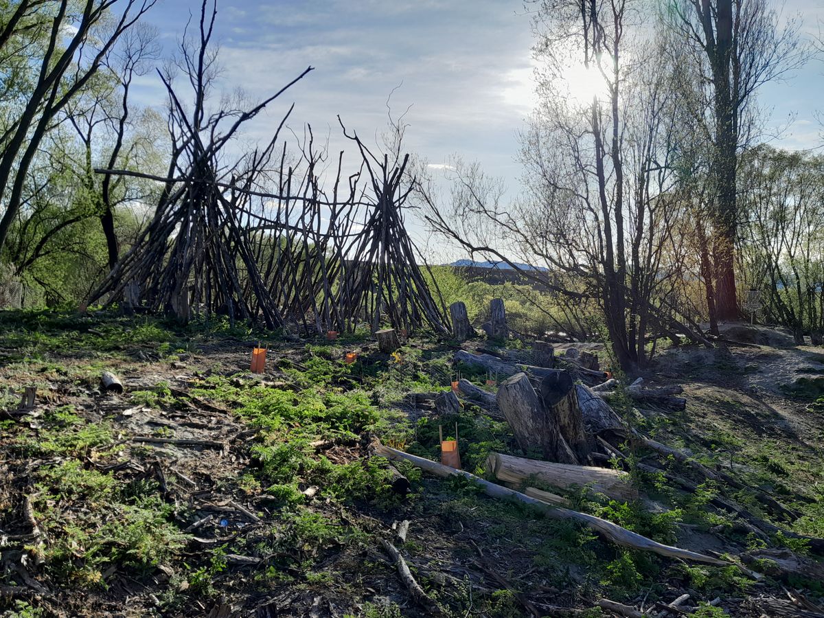 Teepees and Natives