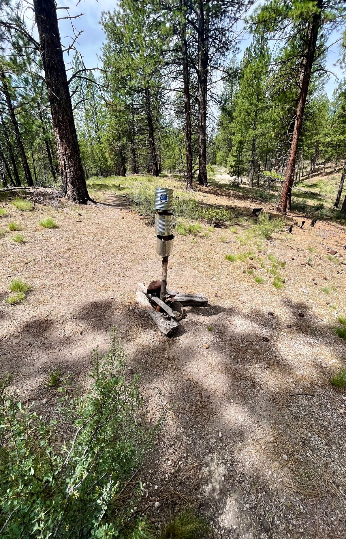 Cans on hole 10