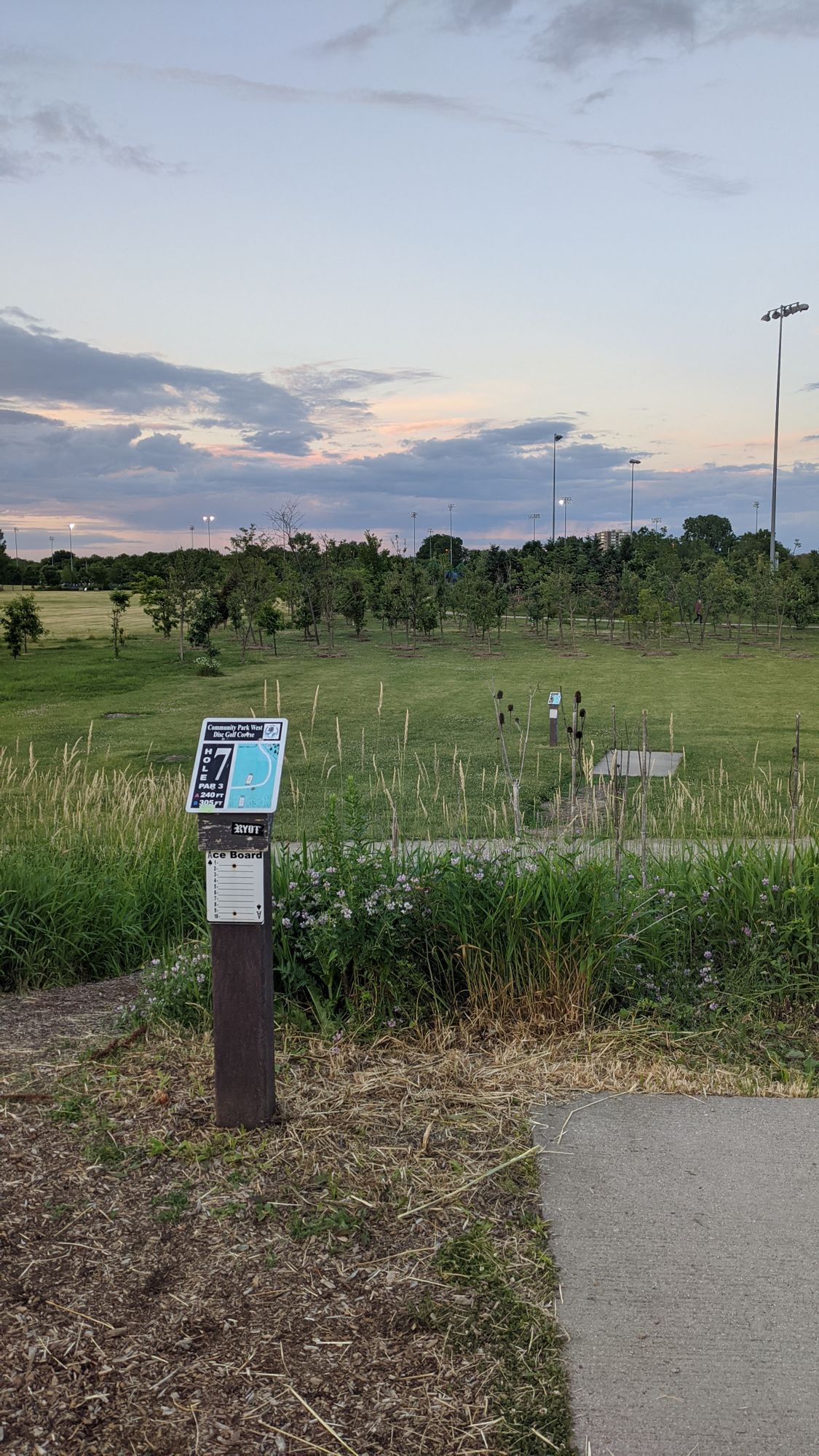 Hole 7 B teebox