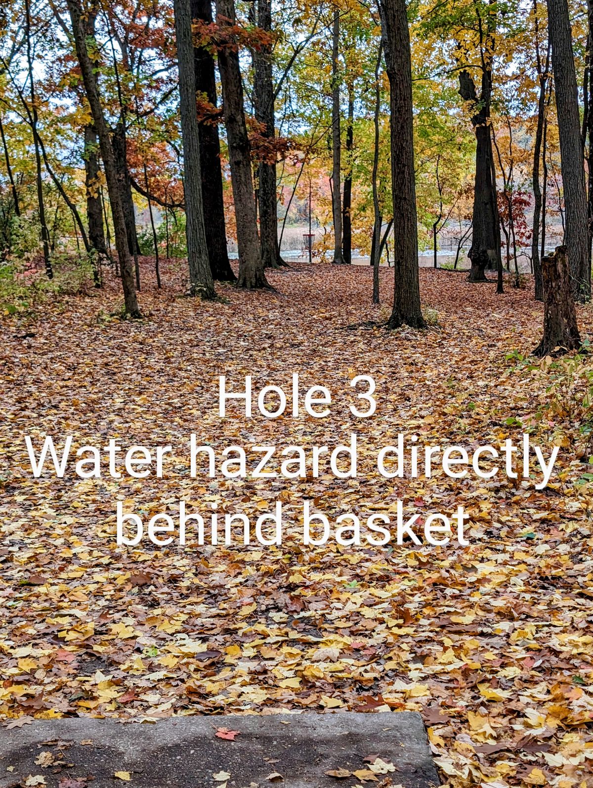 If you go looking for your disk - use caution the ground might not be solid, it's practically quick sand.