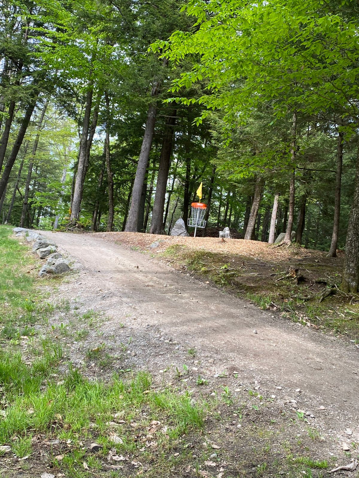 Hole 17 on Falcon.