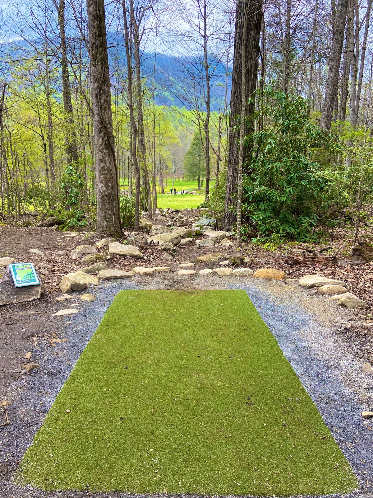 Tee of hole 8
