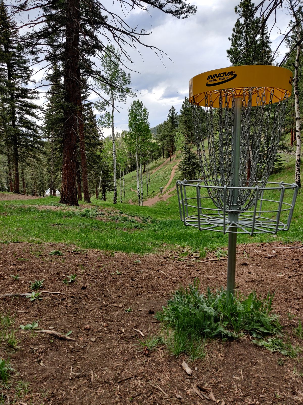 Hole 21 gold