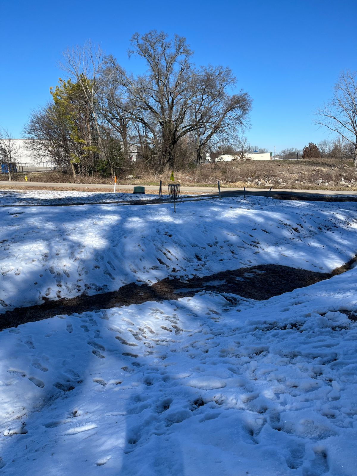 Snow Day at Brahan