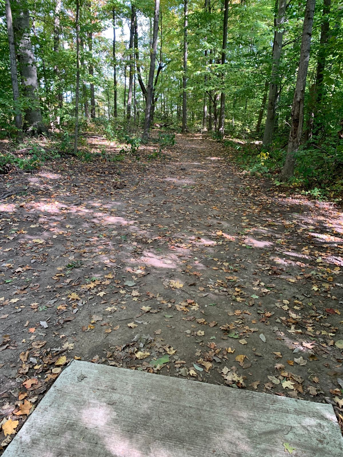 Hole 10 Tee