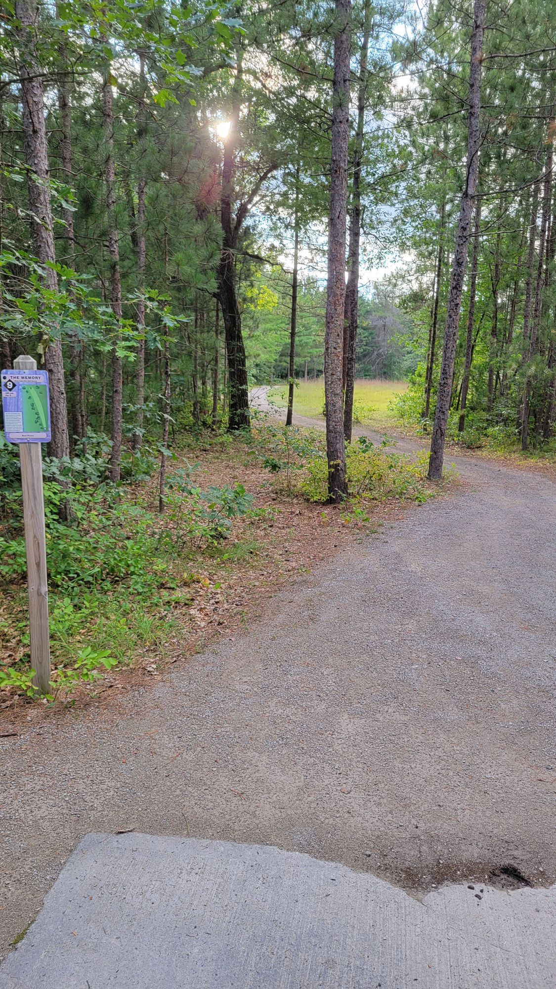 Hole 9