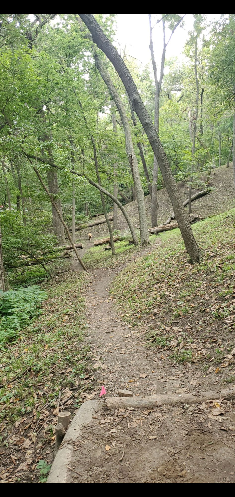 Hole 15