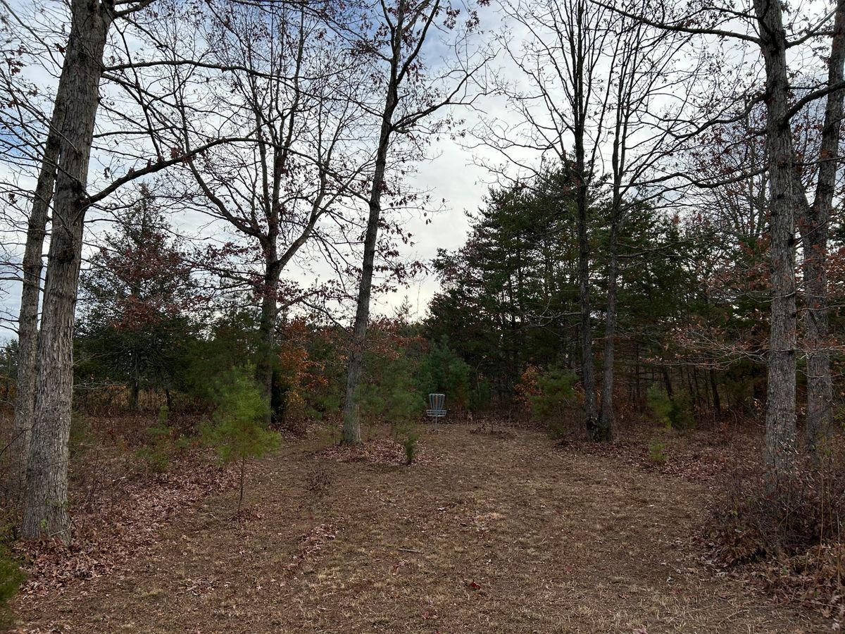 Hole 11 basket