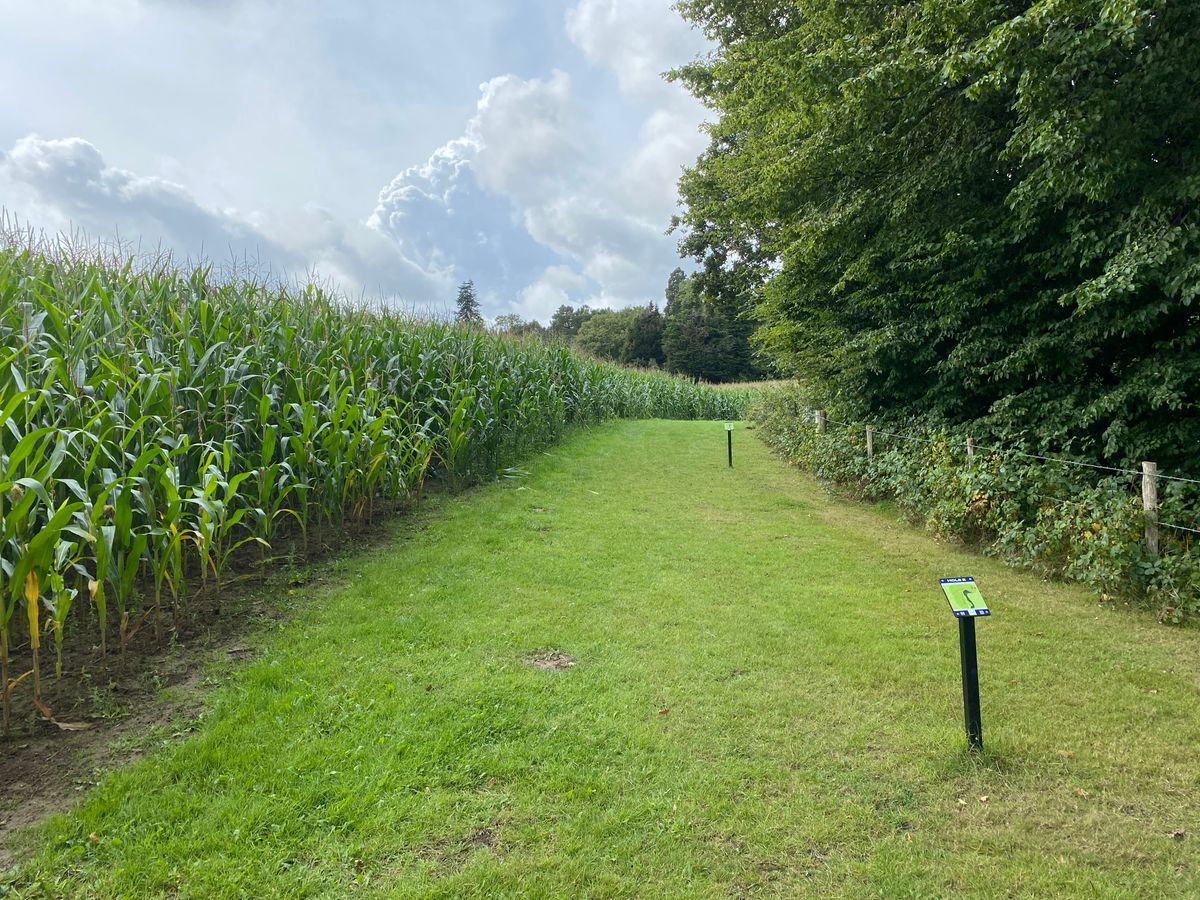 Hole two long tee