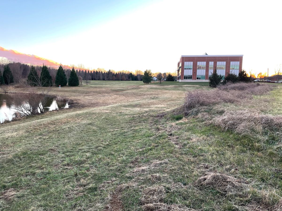 Hole 8