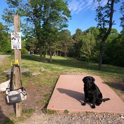 Hole #1