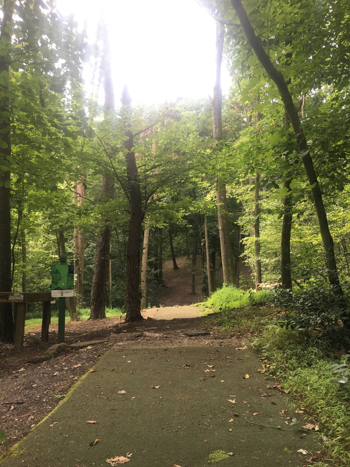Hole 4 long tee.