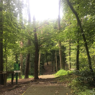 Hole 4 long tee.