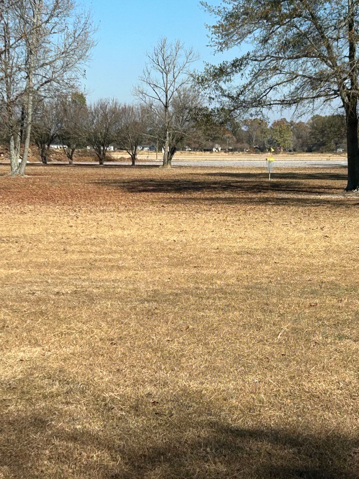 Hole 16 basket