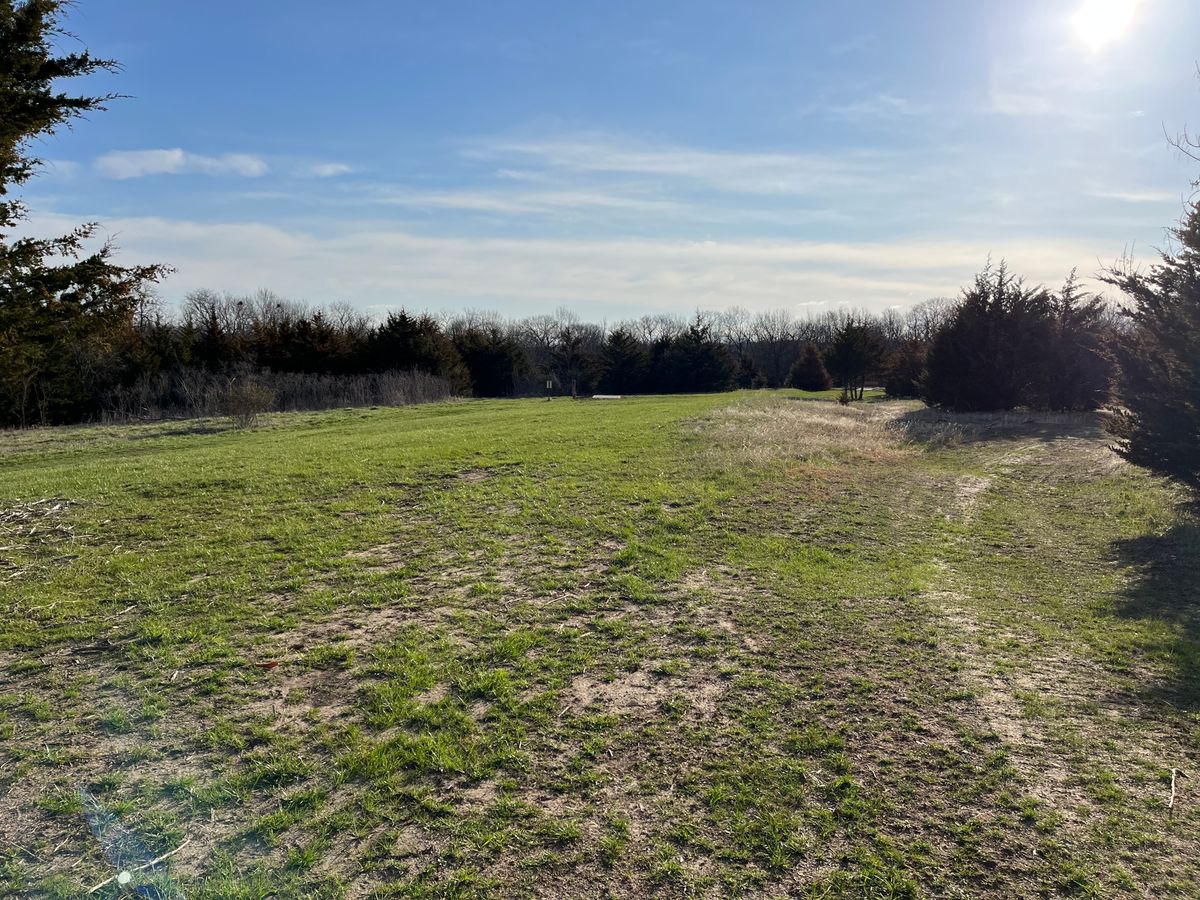 Hole 7 fairway back to tee