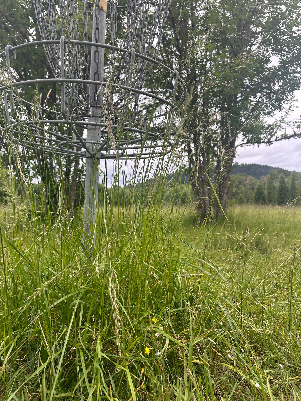 Hole 6 05.25.25