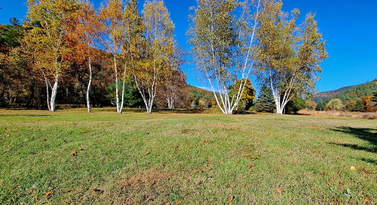 Hole 9