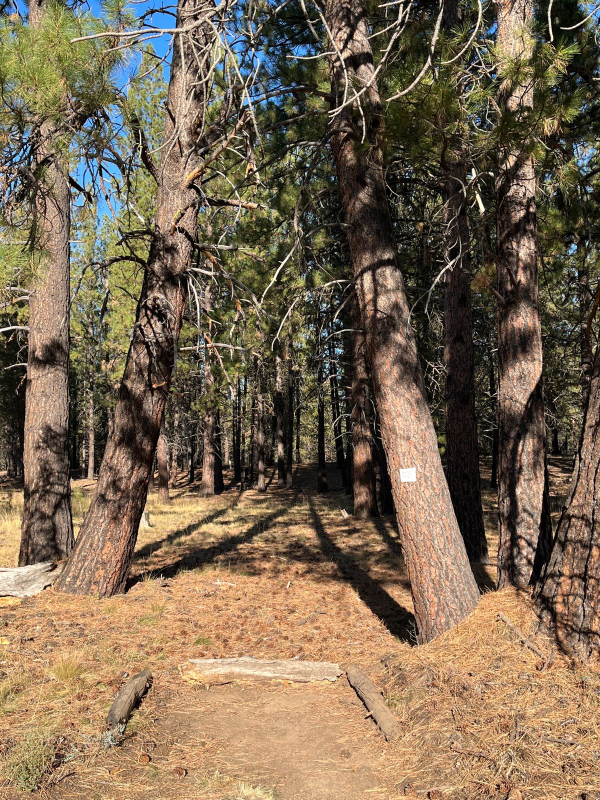Tee box 19