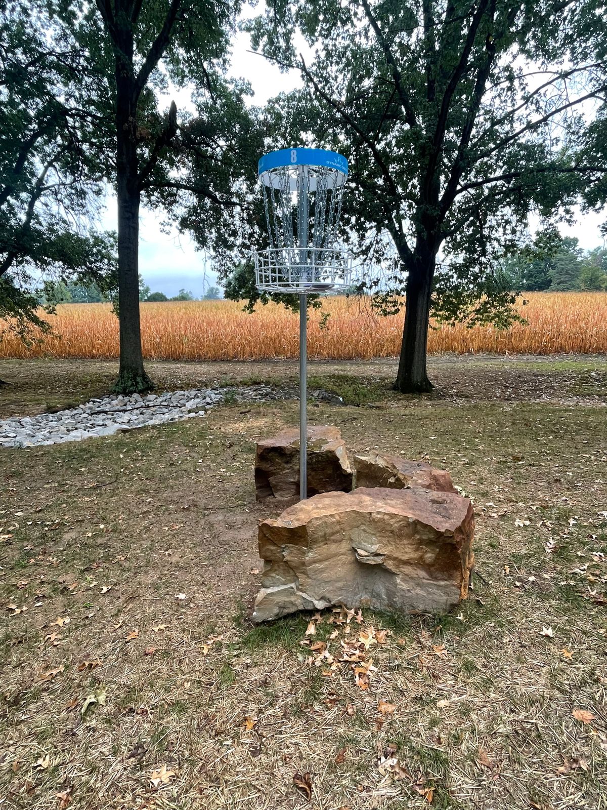 Elevated basket 8