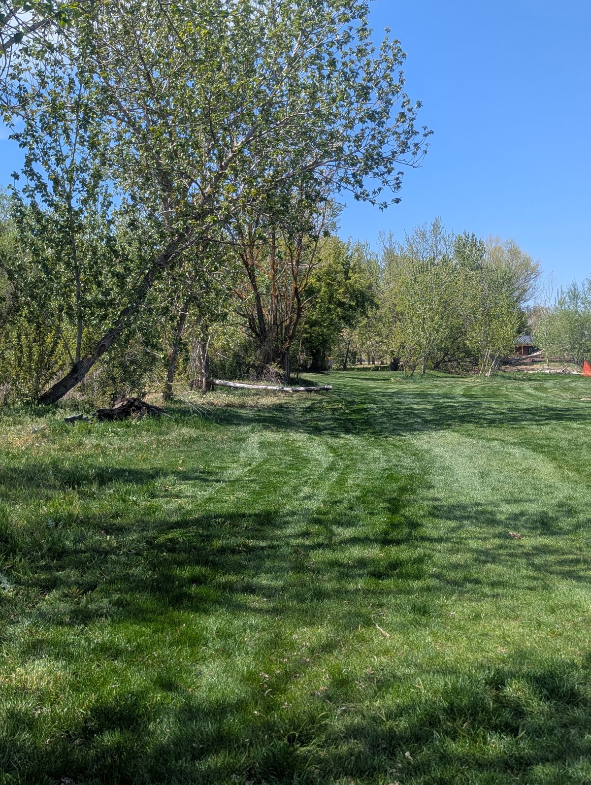 Hole18